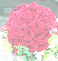 Lieber was fr's Herz